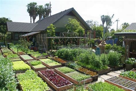 Farm & Garden .